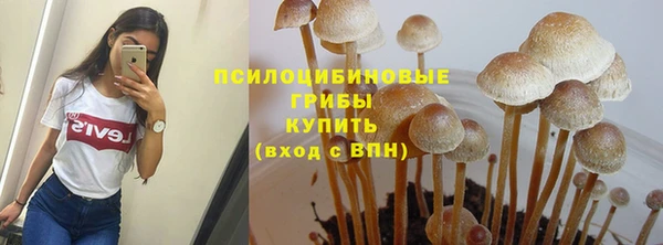 мефедрон мука Каменногорск