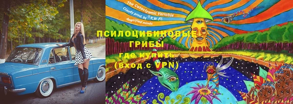 PSILOCYBIN Надым