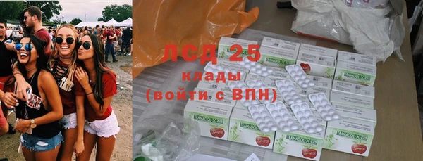 PSILOCYBIN Надым