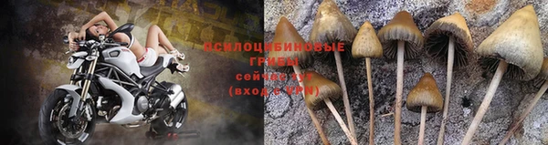 индика Абдулино