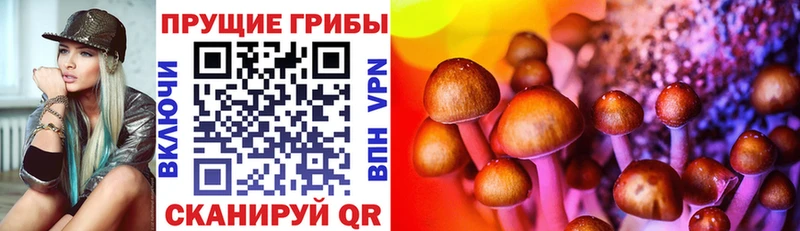 ссылка на мегу рабочий сайт  закладка  Кисловодск  Галлюциногенные грибы мухоморы 